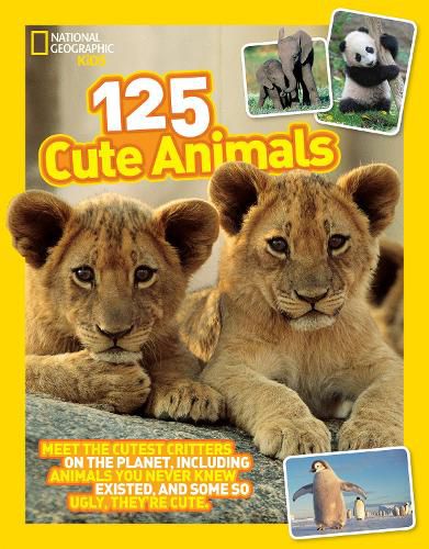 Cover image for 125 Cute Animals: Meet the Cutest Critters on the Planet, Including Animals You Never Knew Existed, and Some So Ugly They'Re Cute