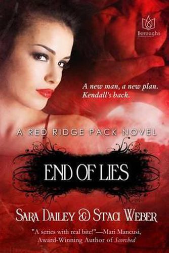 Cover image for End of Lies