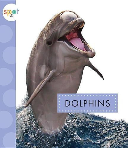 Cover image for Dolphins