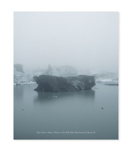 Cover image for Roni Horn