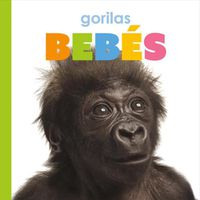 Cover image for Gorilas Bebes