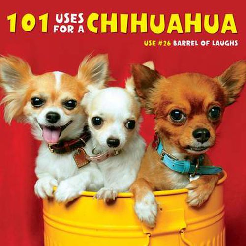 Cover image for 101 Uses for a Chihuahua