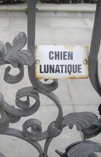 Cover image for Chien Lunatique: Poems