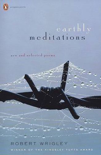 Cover image for Earthly Meditations: New and Selected Poems