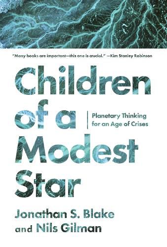 Cover image for Children of a Modest Star