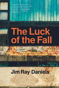 Cover image for The Luck of the Fall
