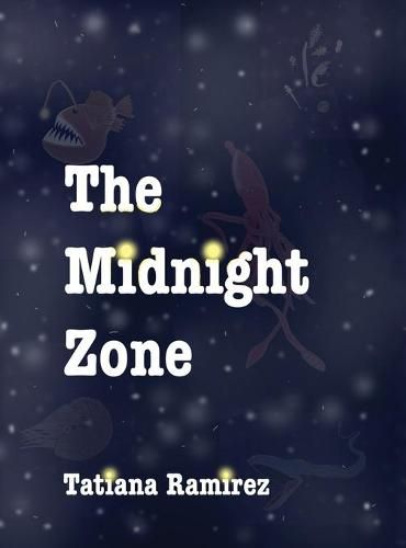 Cover image for The Midnight Zone