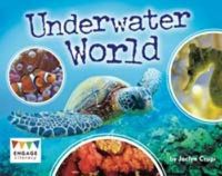 Cover image for Underwater World