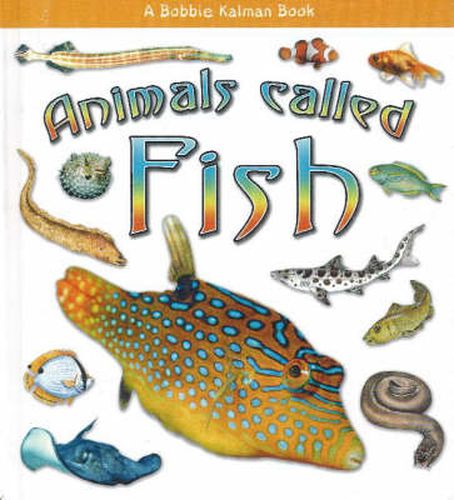 Cover image for Animals Called Fish