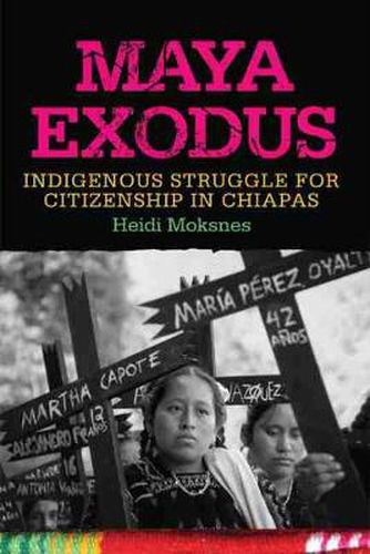 Cover image for Maya Exodus: Indigenous Struggle for Citizenship in Chiapas