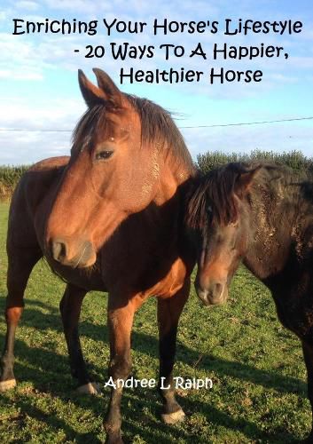 Cover image for Enriching Your Horse's Lifestyle - 20 Ways to A Happier, Healthier Horse