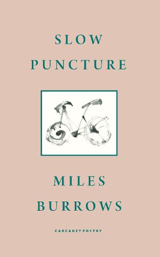 Cover image for Slow Puncture