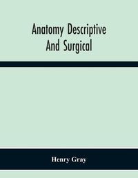 Cover image for Anatomy Descriptive And Surgical