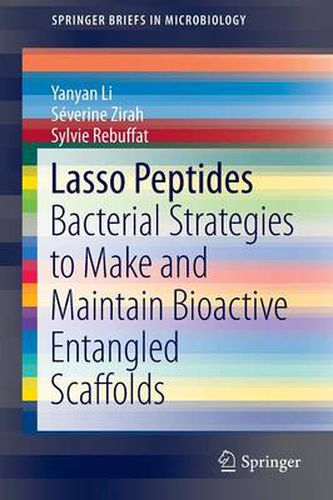 Cover image for Lasso Peptides: Bacterial Strategies to Make and Maintain Bioactive Entangled Scaffolds