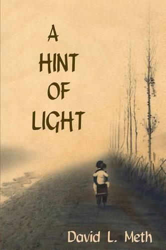 Cover image for A Hint of Light