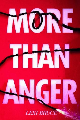 Cover image for More Than Anger