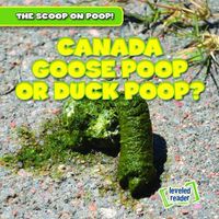 Cover image for Canada Goose Poop or Duck Poop?