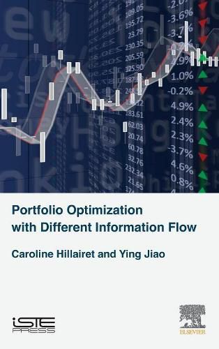 Cover image for Portfolio Optimization with Different Information Flow