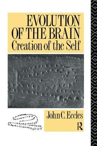 Cover image for Evolution of the Brain: Creation of the Self