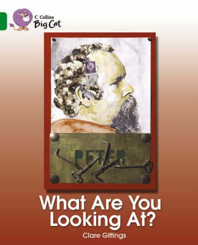 Cover image for What Are You Looking At?: Band 15/Emerald