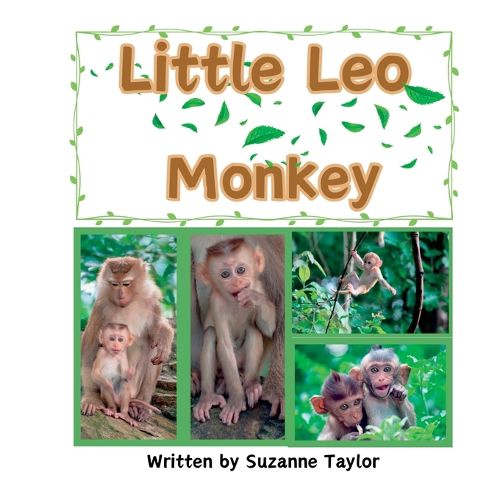 Cover image for Little Leo Monkey