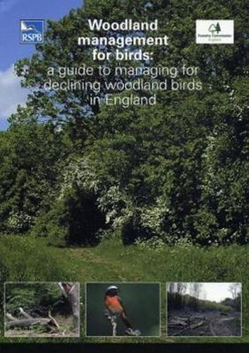 Cover image for Woodland Management for Birds: A Guide to Managing for Declining Woodland Birds in England