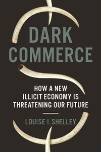 Cover image for Dark Commerce: How a New Illicit Economy Is Threatening Our Future