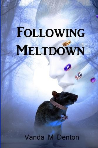 Cover image for Following Meltdown