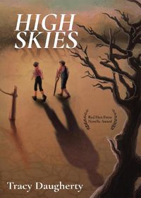 Cover image for High Skies