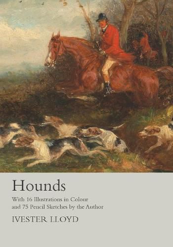 Cover image for Hounds - With 16 Illustrations in Colour and 75 Pencil Sketches by the Author