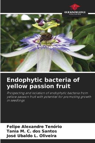 Cover image for Endophytic bacteria of yellow passion fruit