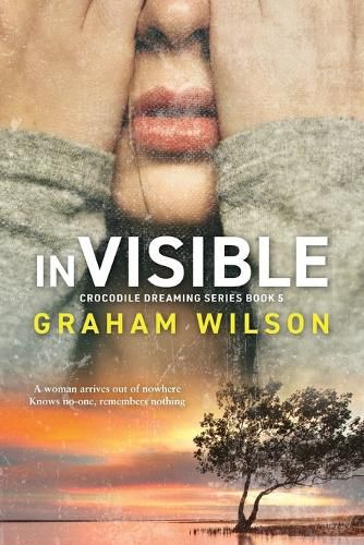 Cover image for Invisible