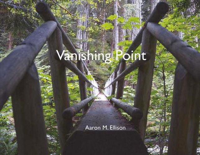 Cover image for Vanishing Point