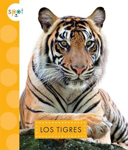 Cover image for Los Tigres