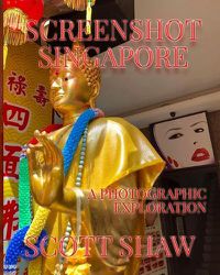 Cover image for Screenshot Singapore: A Photographic Exploration