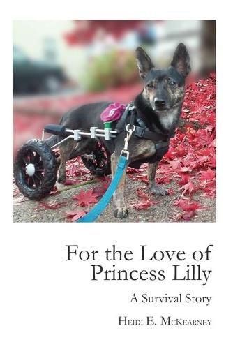 Cover image for For the Love of Princess Lilly: A Survival Story