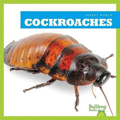 Cover image for Cockroaches