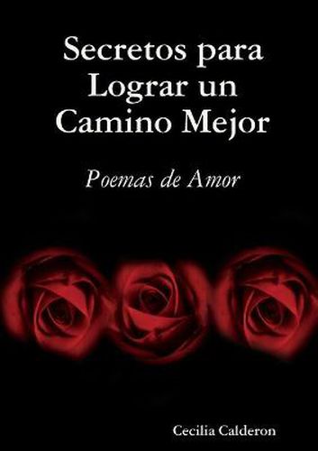 Cover image for Secretos para Lograr un Camino Mejor