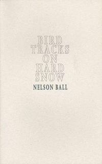 Cover image for Bird Tracks on Hard Snow