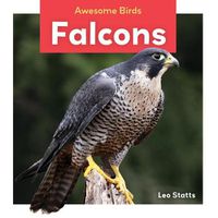 Cover image for Falcons