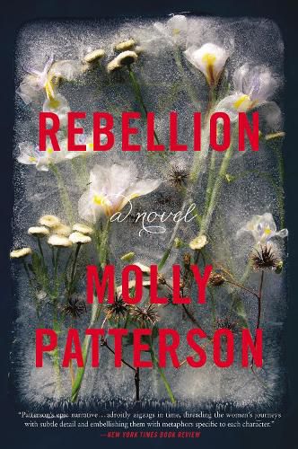Cover image for Rebellion: A Novel