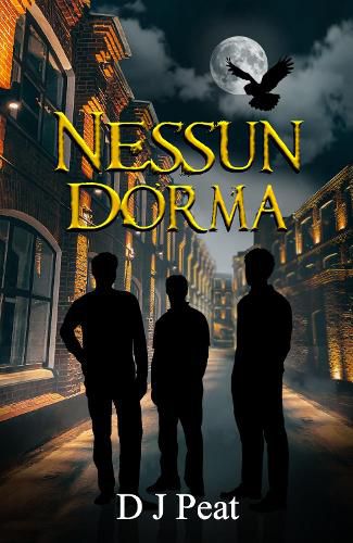 Cover image for Nessun Dorma