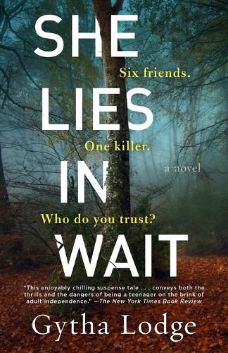 She Lies in Wait: A Novel