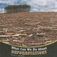 Cover image for What Can We Do about Deforestation?