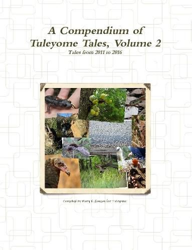 Cover image for A Compendium of Tuleyome Tales, Volume 2