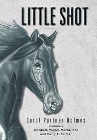 Cover image for Little Shot