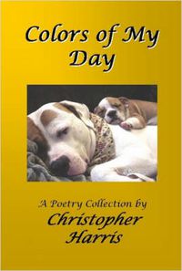 Cover image for Colors of My Day