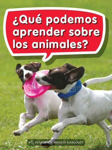 Cover image for Book 039: ?Que Podemos Aprender Sobre Los Animales?: Leveled Reader, Extra Support Grade 1