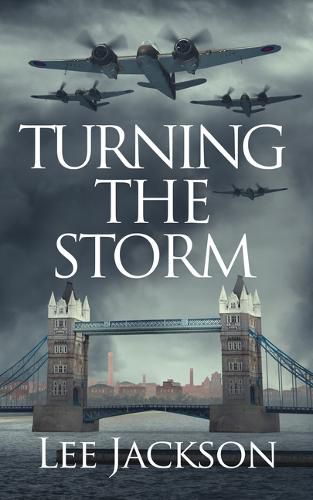 Cover image for Turning the Storm