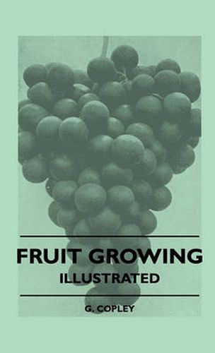 Cover image for Fruit Growing - Illustrated